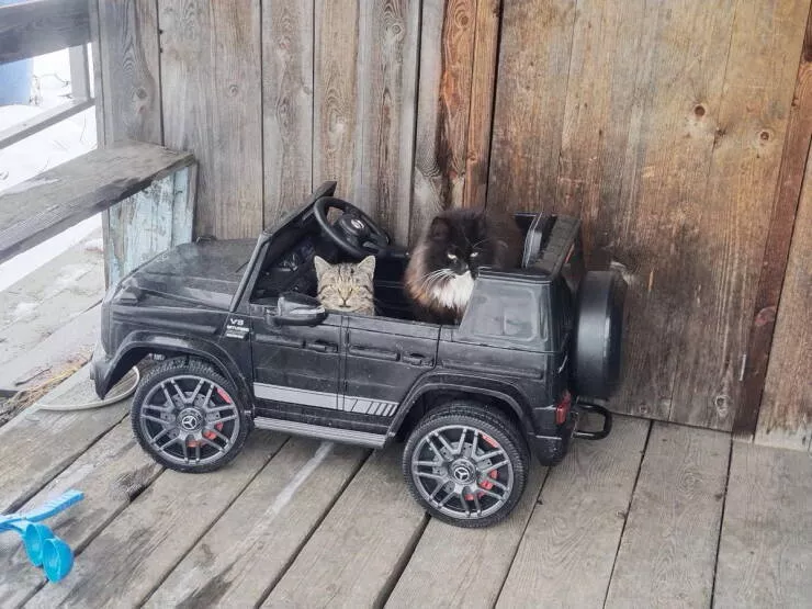 Picdump 1074 - #38 