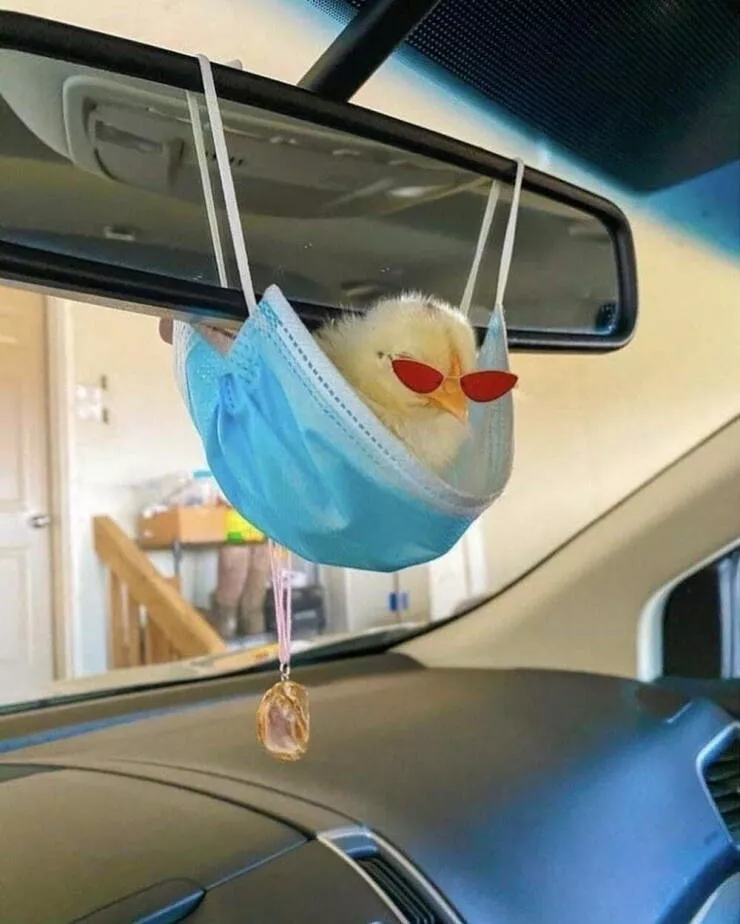 Picdump 1074 - #39 
