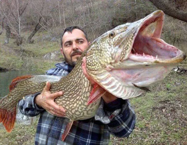 Huge things making life more interesting - #10 
