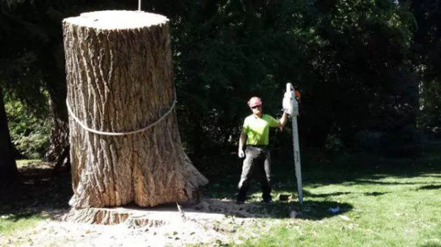 Huge things making life more interesting - #16 