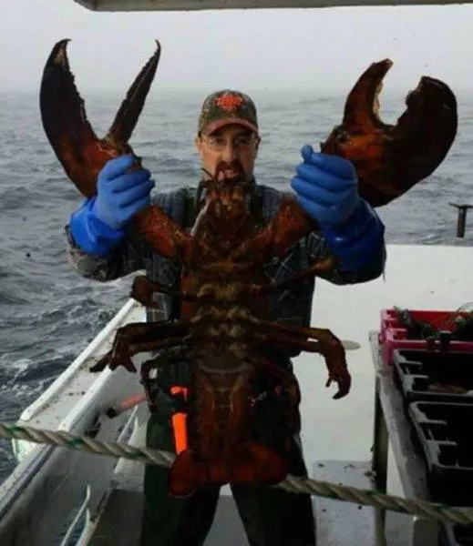Huge things making life more interesting - #20 