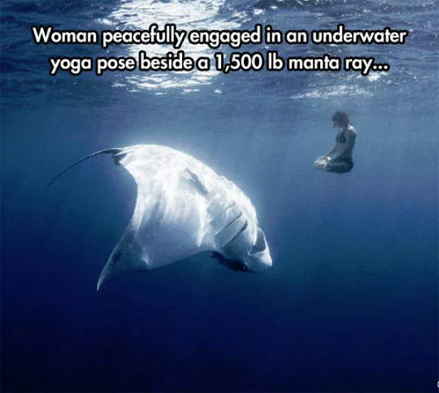 Huge things making life more interesting - #22 