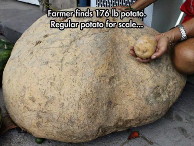 Huge things making life more interesting - #9 