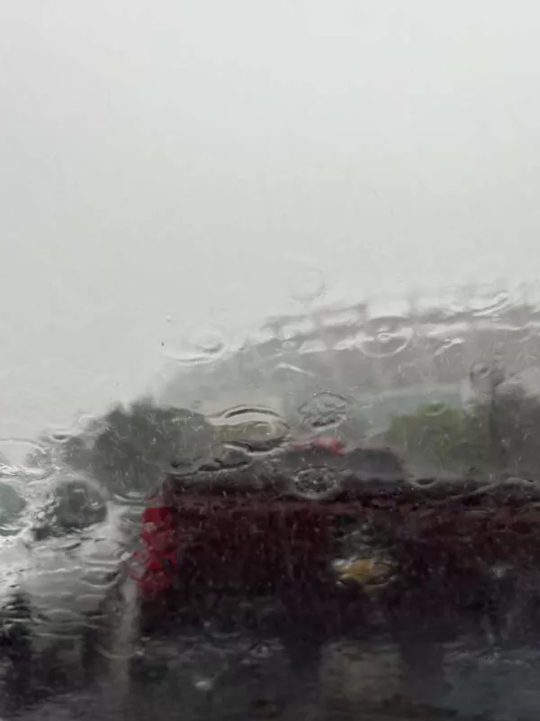 When everything goes wrong - #11 Drove two hours only to have training canceled by weather When everything goes wrong - #11 Drove two hours only to have training canceled by weather