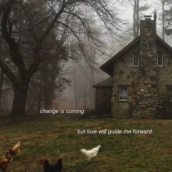 A compilation of pure good vibes - #19 