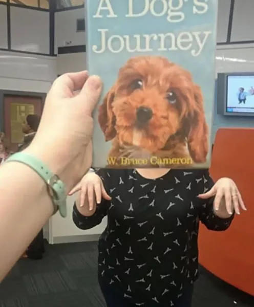 Optical illusions in book covers - #14 