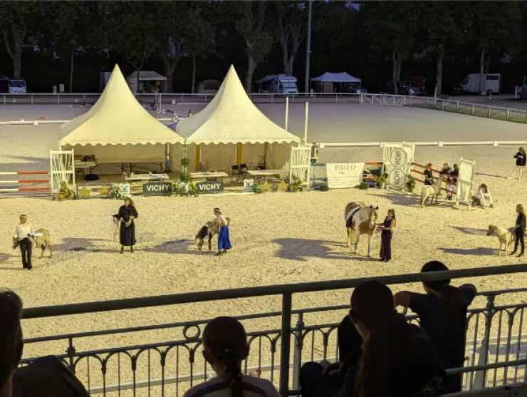 Images si fascinantes quon ne peut pas les ignorer - #18 Un finaliste des mini-chevaux était un cheval de taille normale Images si fascinantes quon ne peut pas les ignorer - #18 Un finaliste des mini-chevaux était un cheval de taille normale