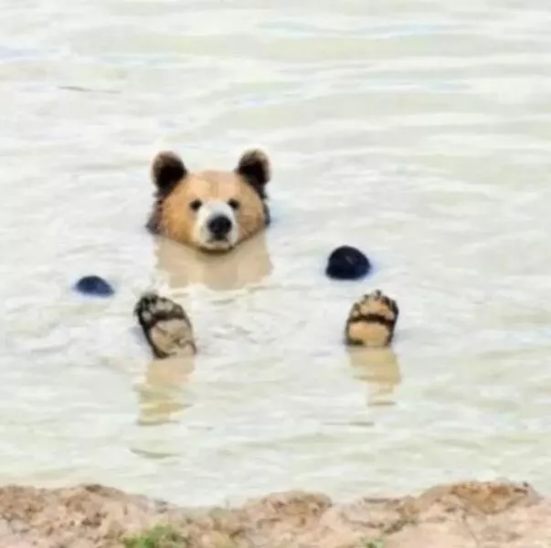 Picdump 1075 - #23 