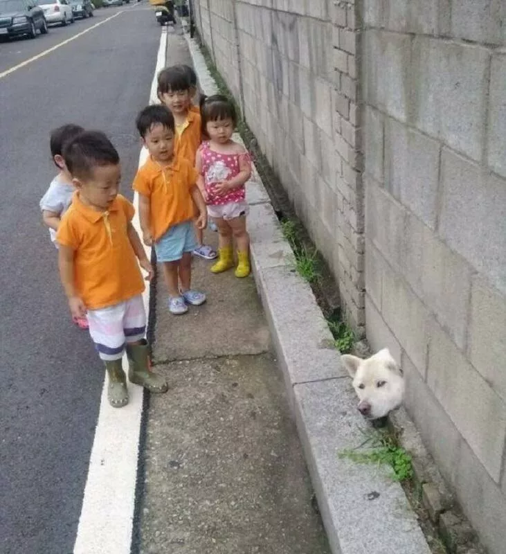 Picdump 1075 - #27 