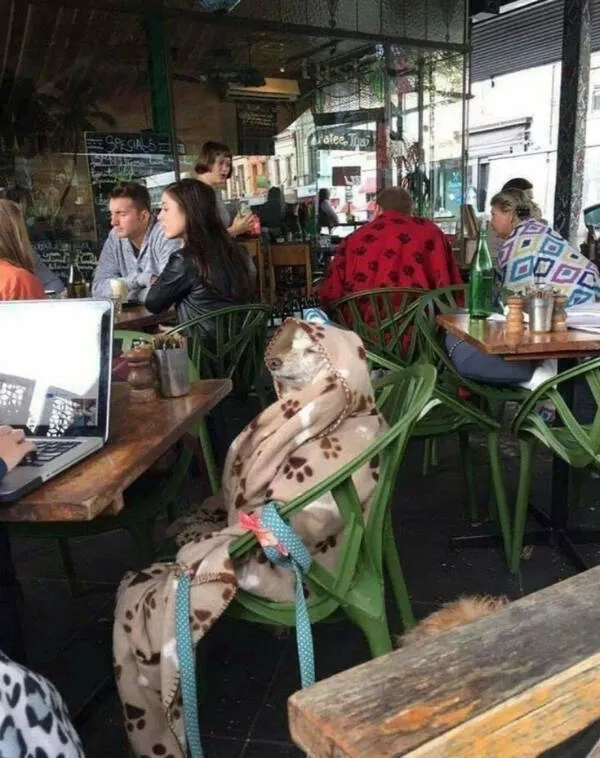 Picdump 1075 - #40 