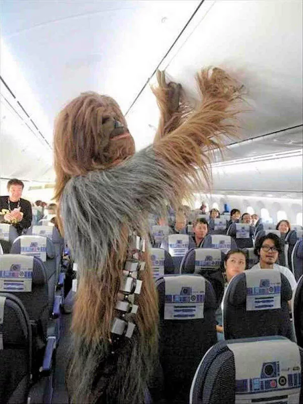 Picdump 1075 - #49 