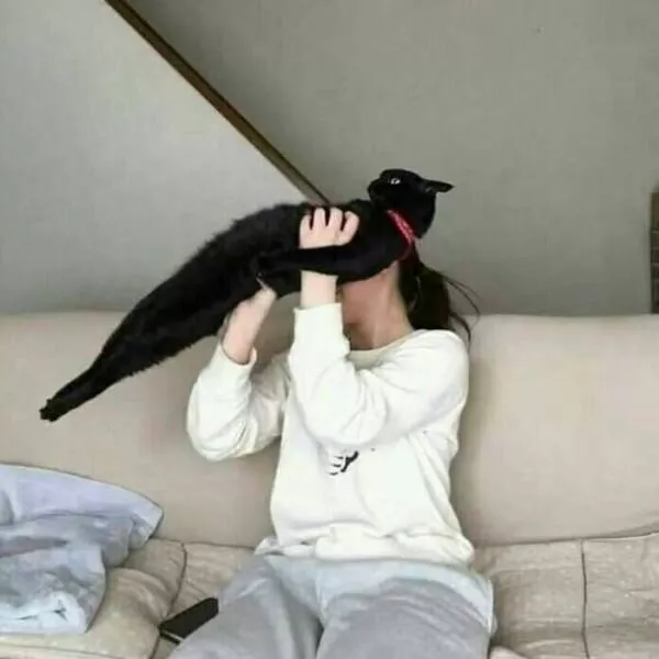 Comical cats straight out of a sitcom - #20 