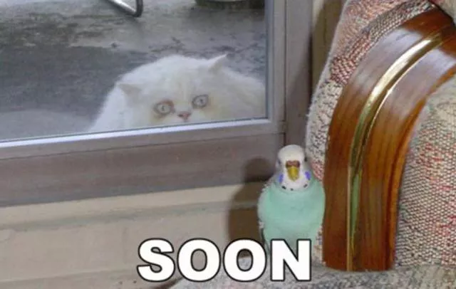 Picdump 139 - #32 