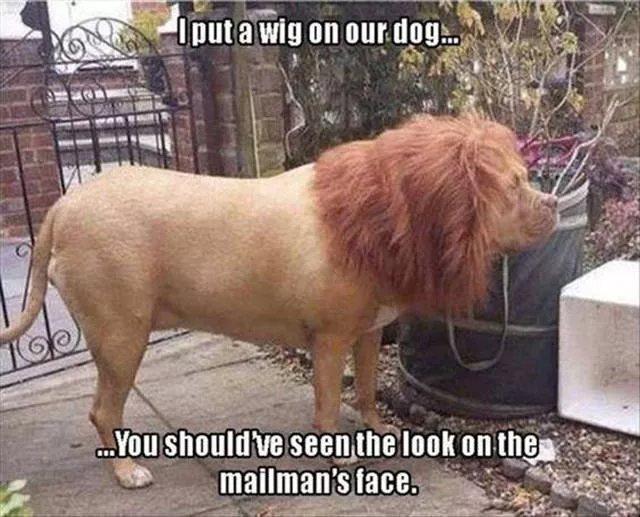 Picdump 139 - #33 