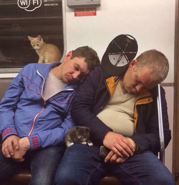 Picdump 139 - #45 
