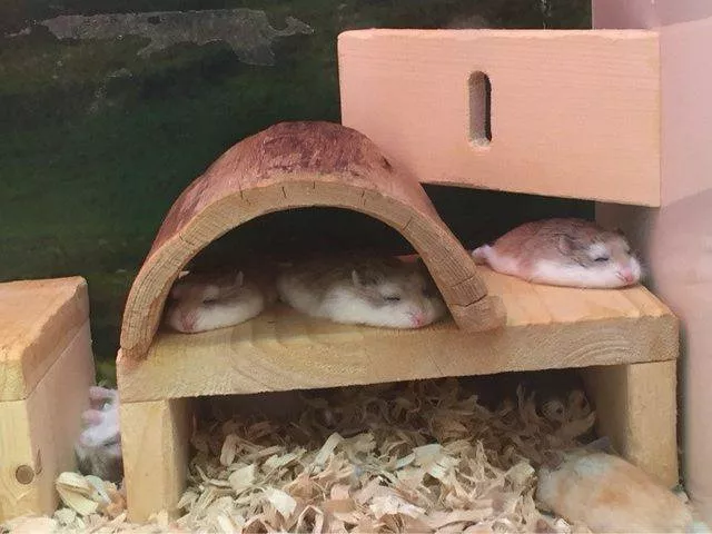 Picdump 139 - #55 