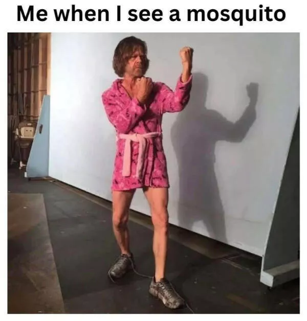 Absurd humor a random and funny photo album - #15 