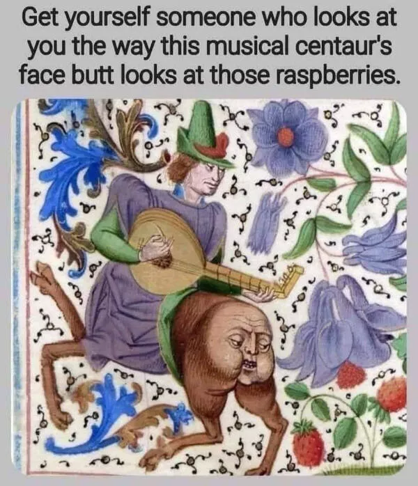 Absurd humor a random and funny photo album - #5 