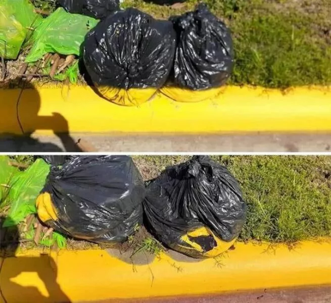 Fails that deserve a slow clap - #25 