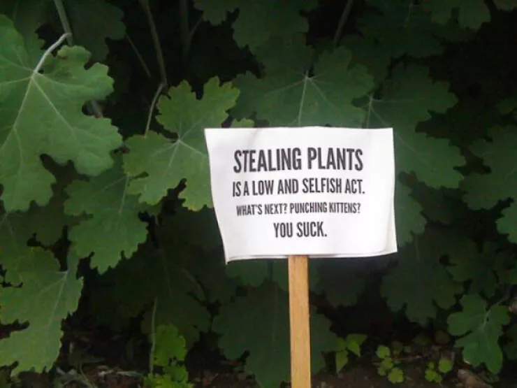 Passive aggressive notes from neighbors - #25 