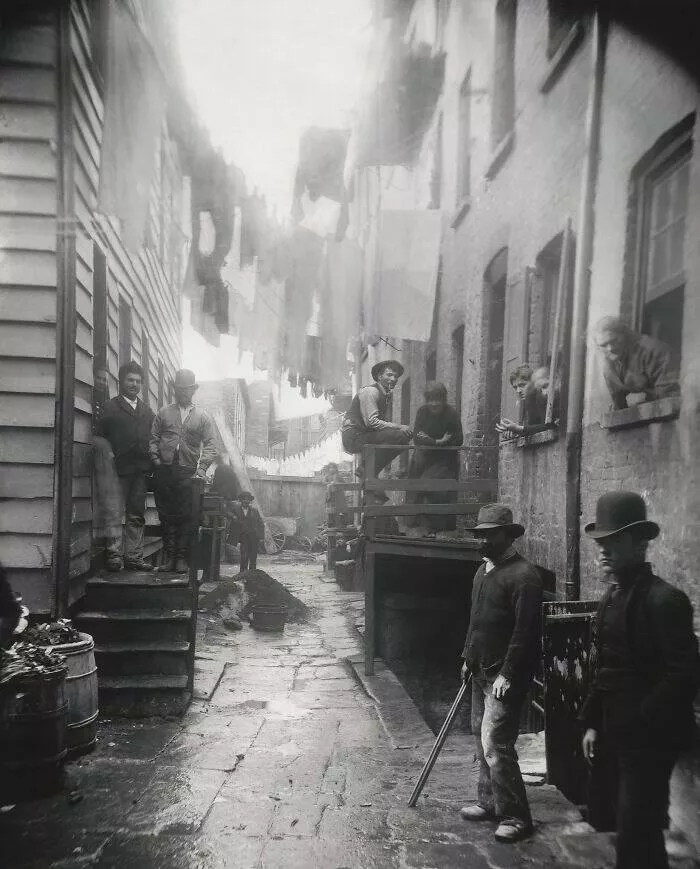 Frozen in time 19th century moments - #24 A photograph of 