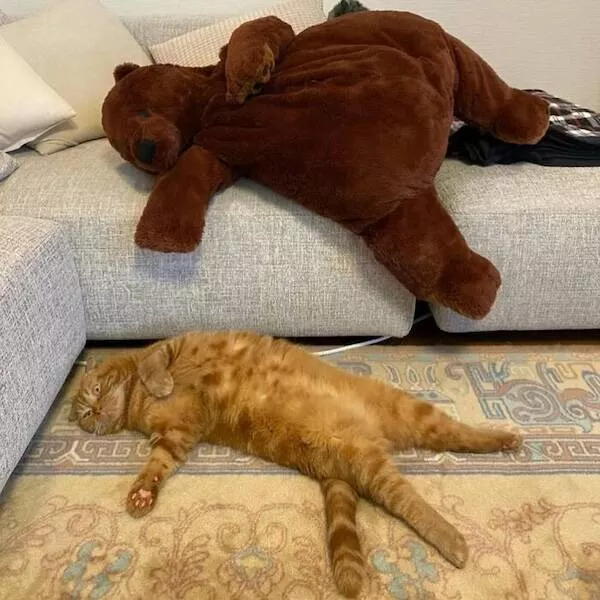 Picdump 1076 - #34 