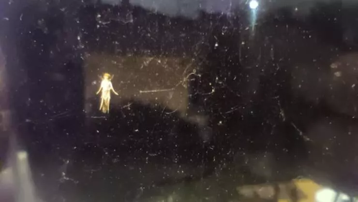 Intriguing photos a gallery of captivating shots - #11 A bug on my window that looks just like a tiny fairy