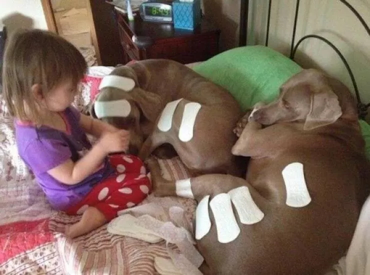 Tiny humans big messes a chaos album - #5 