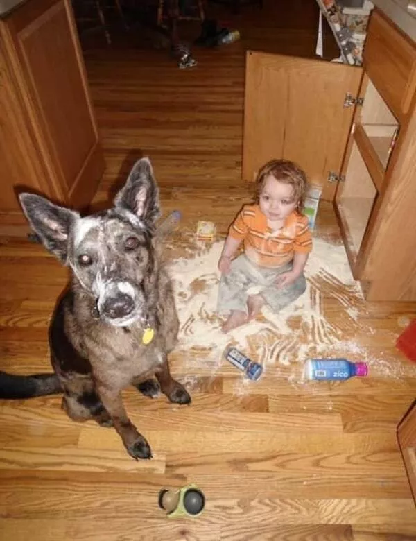 Tiny humans big messes a chaos album - #8 