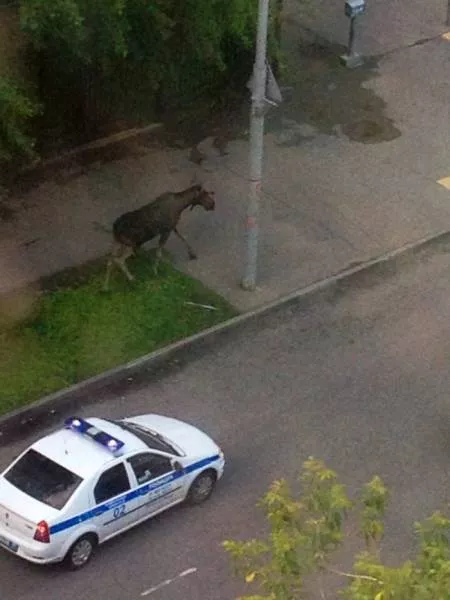 Picdump 140 - #58 