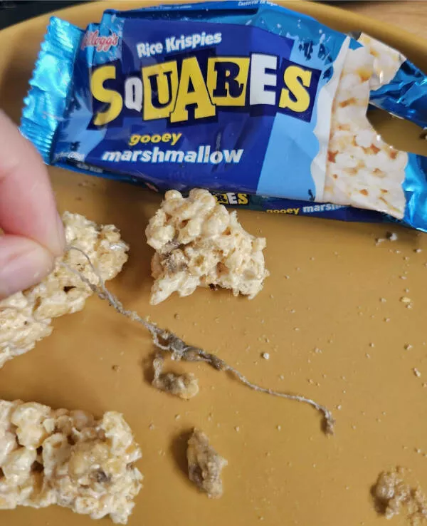 Ouch just ouch a gallery of painful fails - #1 A string in my putrid-tasting meal, absolutely disgusting Ouch just ouch a gallery of painful fails - #1 A string in my putrid-tasting meal, absolutely disgusting