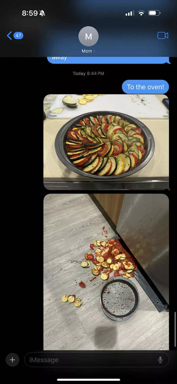Ouch just ouch a gallery of painful fails - #12 Tried to make ratatouille with my first garden harvest Ouch just ouch a gallery of painful fails - #12 Tried to make ratatouille with my first garden harvest