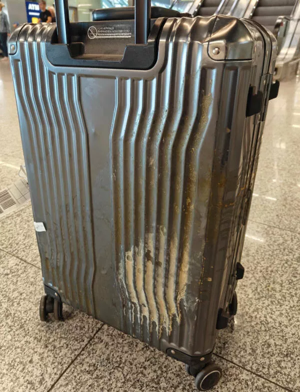 Ouch just ouch a gallery of painful fails - #13 Lost luggage returns covered in vomit and filled with larvae Ouch just ouch a gallery of painful fails - #13 Lost luggage returns covered in vomit and filled with larvae