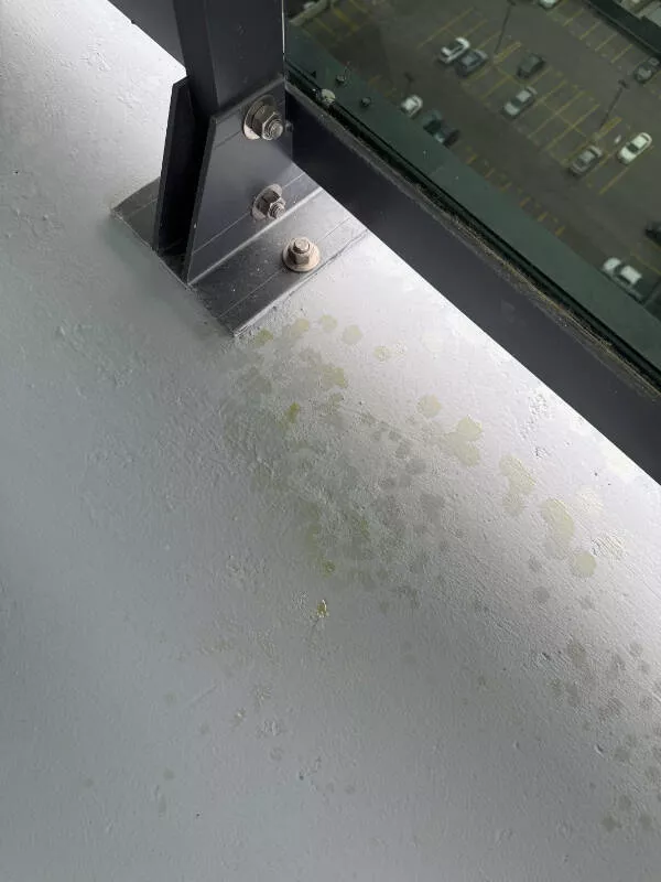 Ouch just ouch a gallery of painful fails - #14 My neighbor’s dog peed on their balcony, ruining mine Ouch just ouch a gallery of painful fails - #14 My neighbor’s dog peed on their balcony, ruining mine