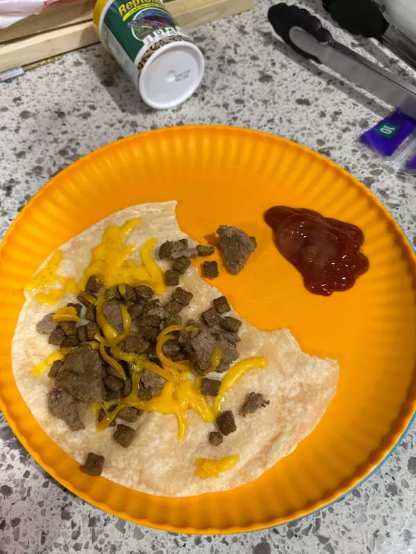 Ouch just ouch a gallery of painful fails - #2 My second bite was crunchy, turns out it was dog food Ouch just ouch a gallery of painful fails - #2 My second bite was crunchy, turns out it was dog food