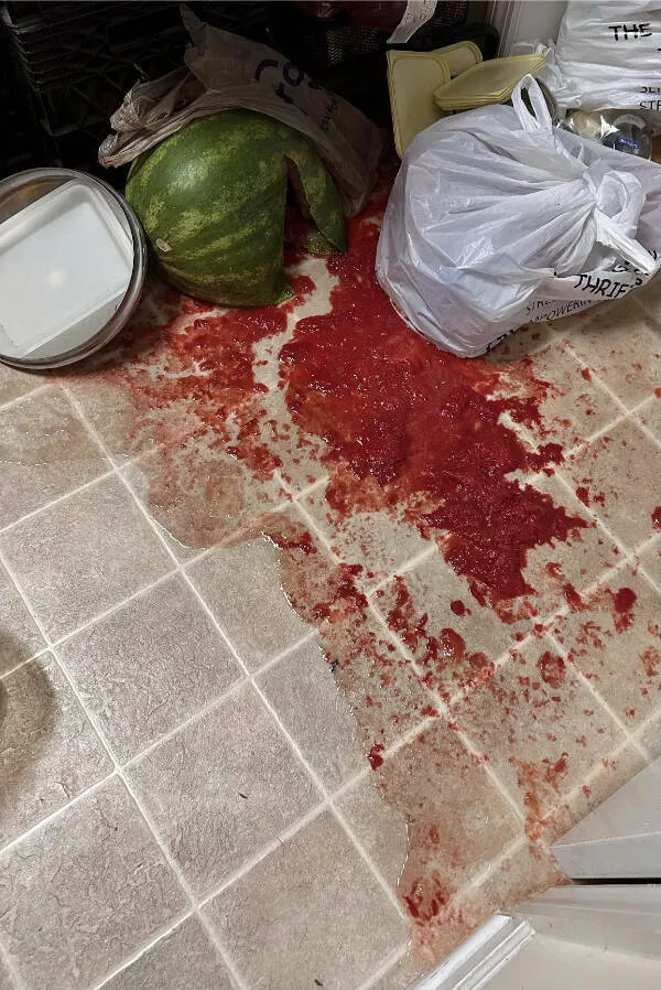 Ouch just ouch a gallery of painful fails - #22 My watermelon inexplicably burst into pieces