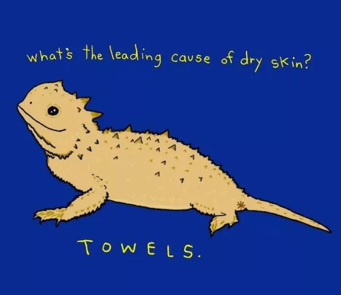 Delightful memes a gallery of silly fun - #13 