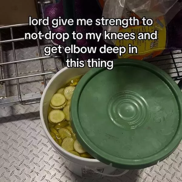 Delightful memes a gallery of silly fun - #2 