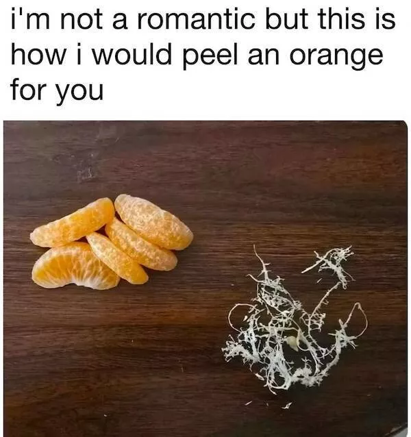 Delightful memes a gallery of silly fun - #21 