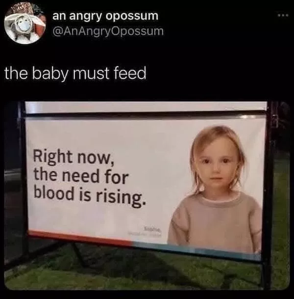Delightful memes a gallery of silly fun - #26 