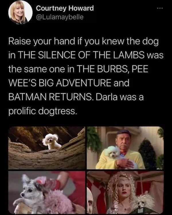 Delightful memes a gallery of silly fun - #30 