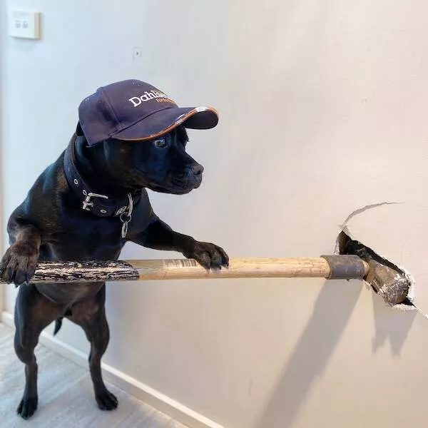 Workload a dose of humor to laugh it off