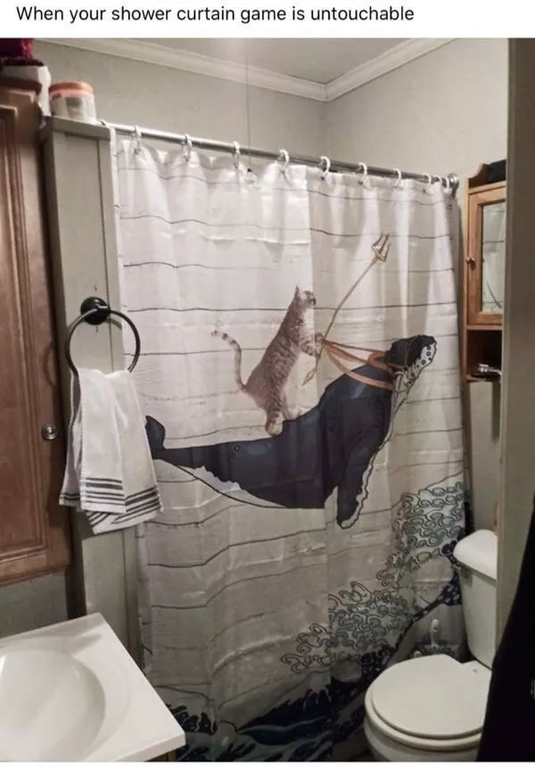 Hilarious cats a gallery of funny moments - #9 