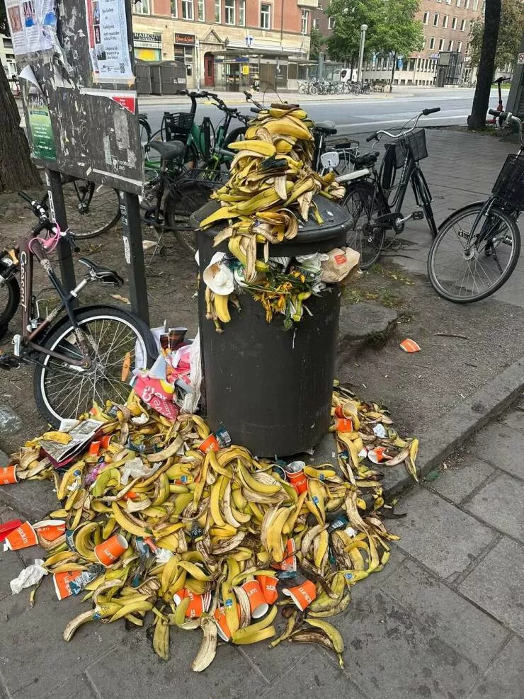 Picdump 1077 - #25 