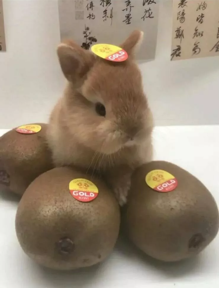 Picdump 1077 - #26 