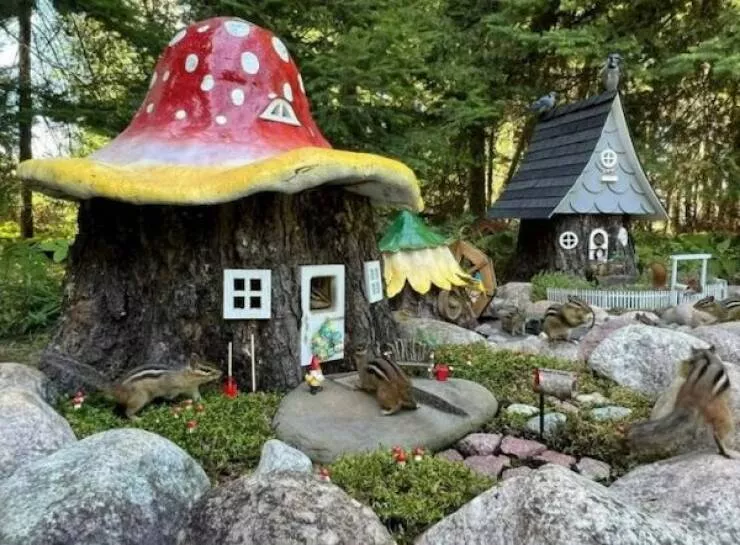 Picdump 1077 - #34 