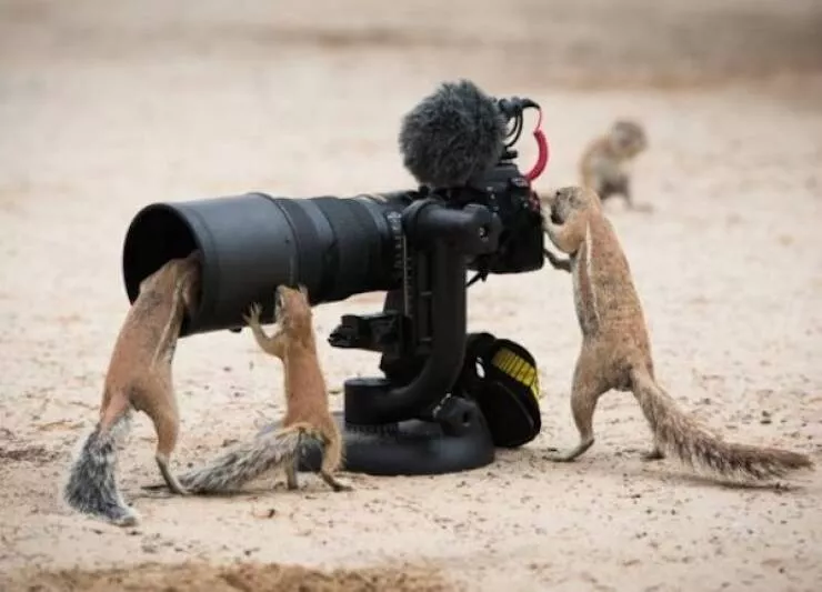 Picdump 1077 - #40 