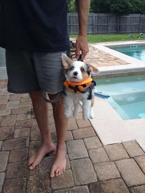 Picdump 1077 - #41 