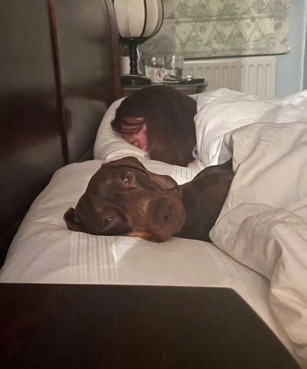 Picdump 1077 - #50 