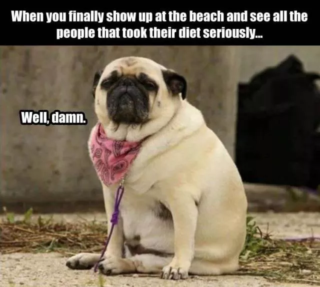 Picdump 141 - #18 